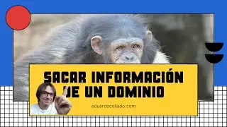 Sacar información de un dominio
