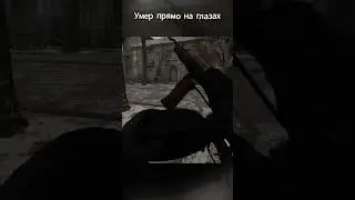 ✨Напарник красиво умер на глазах ⭐Сталкер Anomaly H.A.Z.E: Reloaded 