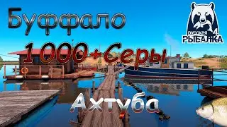 Река Ахтуба. Фарм буффала 900+ за час. Русская рыбалка 4. Аккаунт универсал.
