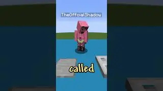 Minecraft Guess The Meme