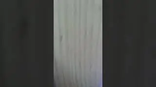 16 июня 2023 г.
