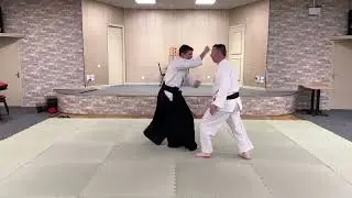 Motoha Yoshin Ryu Kihon Oku no Kata - Renzuki (Technique 3)