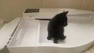 Automatyczna Kuweta Smart Kitty dla dużch i małych