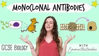 Monoclonal Antibodies - GCSE Biology (Revision for 2020)