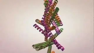 Abstract Animation Cinema4D