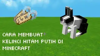 cara membuat kelinci hitam putih di minecraft