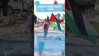 🇵🇸ЛЮДИ ПРИНИМАЮТ ИСЛАМ🇵🇸 #мирадио #новости #палестина #palestine #islam #muslimquran