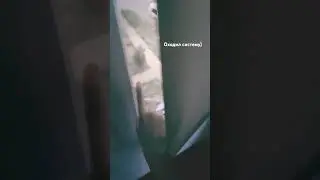 качали уже? #читынареаллайф