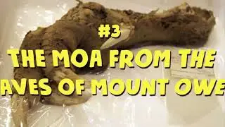 Top 5 Horrifying Archaeological Discoveries