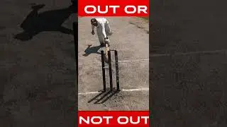 BLIND UMPIRE I THINK  #cricket #youtubeshorts #ytshorts