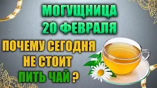 Народный праздник Лука Елладский 20 февраля. Могущница праздник. Народные традиции и приметы.