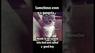 gangsters need hugs