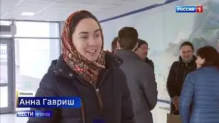 Вороны кидают камни с крыши многоэтажки