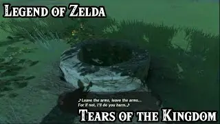 Developers Know How To Make You Curious | Legend of Zelda Tears of the Kingdom