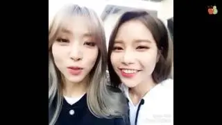 MoonSun(문선) - Energy - MAMAMOO(마마무)