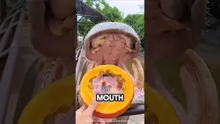 Unique Way To Feed Hippo