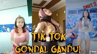 GONDAL GANDUL PENYEGAR MATA || TIK TOK Part 2