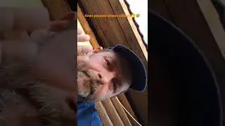 30 мая 2024 г.