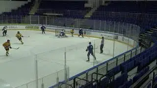 06.10.19.Динамо - Химик 6:0.ОПМ.2003г.р.