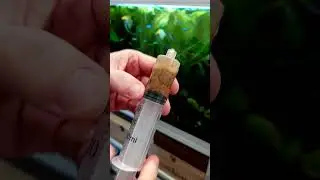 Come somministrare l'artemia liofilizzata (togliendo l'aria)