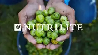 Как делают витамин С от NUTRILITE