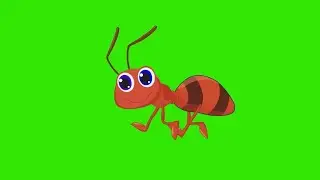 Ant walking green screen l Walking ant green screen