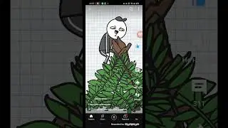 коморка девчонок