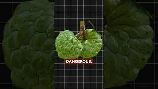 Are You Eating Cyanide with Your Custard Apple?