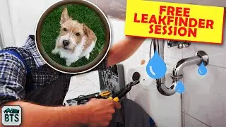 How To Crush NL100 (MMAsherdog Reviews student's footage)