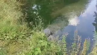 Закуток