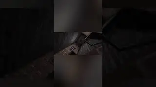 Сколько я раз умер от этой гренни? 