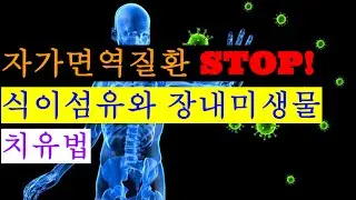 자가면역질환 치유 식이섬유와 장내미생물이 답이다 | 조절T세포를 활성화하라 | 고분자 식이섬유 셀룰로오스 천연발효하여 섭취하라