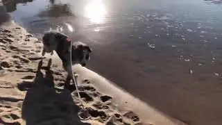 cosmo in paradise