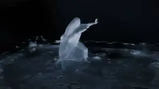 DAZ to Blender - Diffeomorphic Plugin Test 9