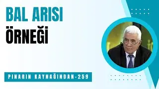 BAL ARISI ÖRNEĞİ
