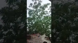 ye mausam bhiga bhiga h