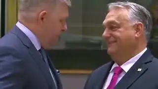 Куда Зеленский ведет страну