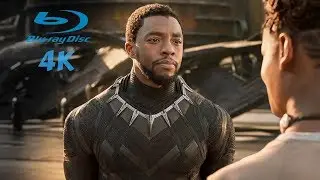 Black Panther (2018) - Return From Civil War Scene