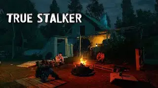 ИГРАЕМ В TRUE STALKER / ДОЛГОЖДАННЫЙ МОД