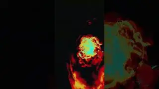 NTO x Vitalic - Coeur Noir