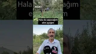 Çiftçilik Yaparak 4 Doktor, 3 Öğretmen, 2 Mimar, 1 Mühendis Okuttu! #shorts
