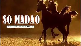 Modão Sertanejo para Churrasco