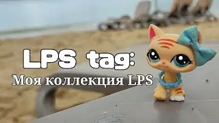 𝘓𝘗𝘚 𝘛𝘢𝘨: Моя коллекция LPS🫶 @SherlockHolms0909