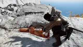 Petting a lil Fox :)