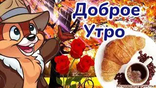 Доброе утречко! 🍫☕🌹🌹🌹 Радостного и счастливого дня! 🤗