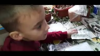 Обзорчик на нашу посылку из Joom