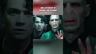Why did FAWKES choose Voldemort?