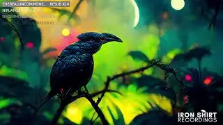 Dubstep Music w/ L Nixr - The ISR Show 