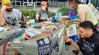 Mushroom Blocks, Forays, Healthy Soil: Central Texas Mycological Society