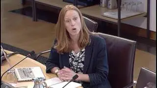 Culture, Tourism, Europe and External Relations Committee- Scottish Parliament: 18th May 2017